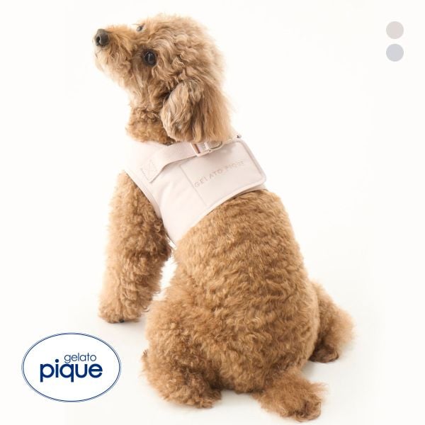 ジェラートピケ CAT&DOG 販路限定商品 ハーネス gelato pique