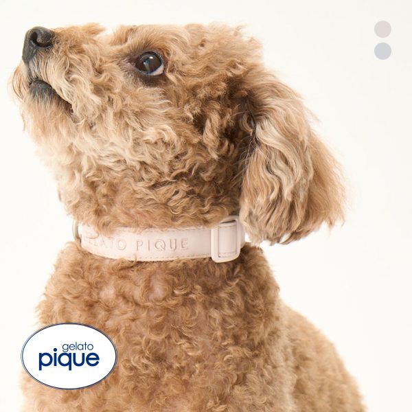 ジェラートピケ CAT&DOG 販路限定商品 首輪 gelato pique