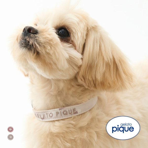 ジェラートピケ CAT&DOG 販路限定商品 モチーフ柄首輪 gelato pique