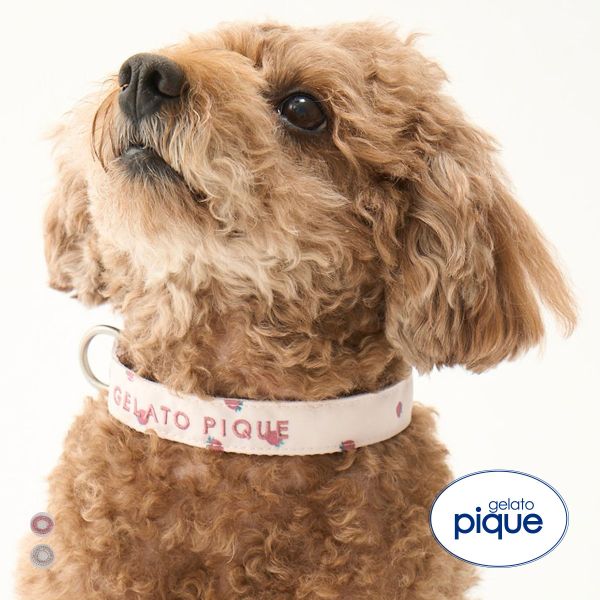 ジェラートピケ CAT&DOG 販路限定商品 モチーフ柄首輪 gelato pique