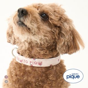 ジェラートピケ CAT&DOG 販路限定商品 モチーフ柄首輪 gelato pique