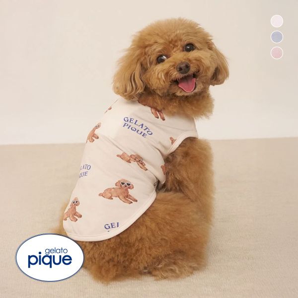 【新品】GELATO PIQUE ジェラートピケ　トイプードル gelato pique(ジェラート ピケ)】甘えたような表情が愛らしい