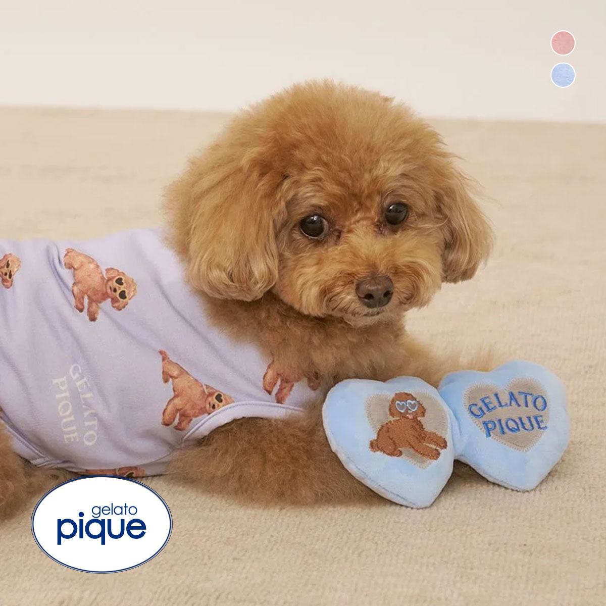 ジェラートピケ CAT&DOG トイプードルサングラストイ ジェラピケ gelato pique(BU-ブルー-Free)