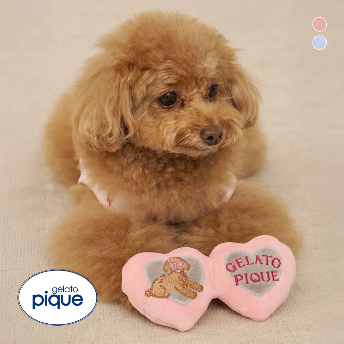 ジェラートピケ CAT&DOG トイプードルサングラストイ ジェラピケ gelato pique