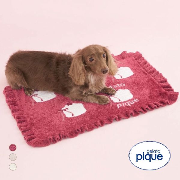 ジェラートピケ CAT&DOG オータムケーキジャガードブランケット ジェラピケ gelato pique