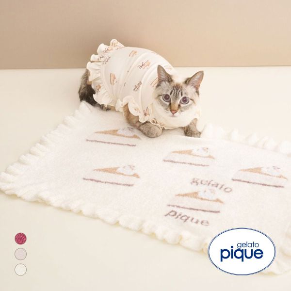 ジェラートピケ CAT&DOG オータムケーキジャガードブランケット ジェラピケ gelato pique
