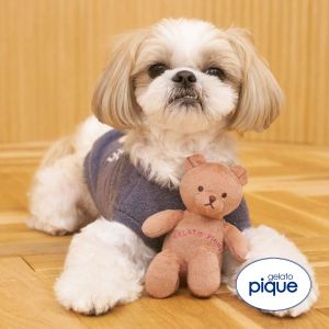 ジェラートピケ CAT&DOG ベアトイ ジェラピケ gelato pique