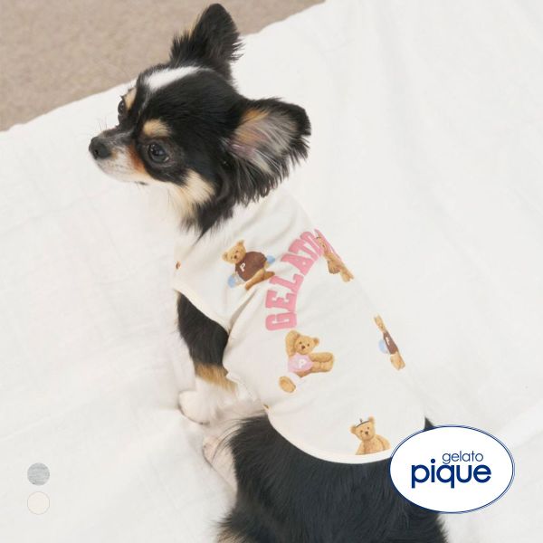 ジェラートピケ CAT&DOG スポーティーベア柄カットソープルオーバー gelato piqu