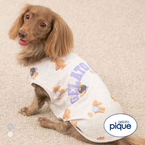 ジェラートピケ CAT&DOG スポーティーベア柄カットソープルオーバー gelato piqu