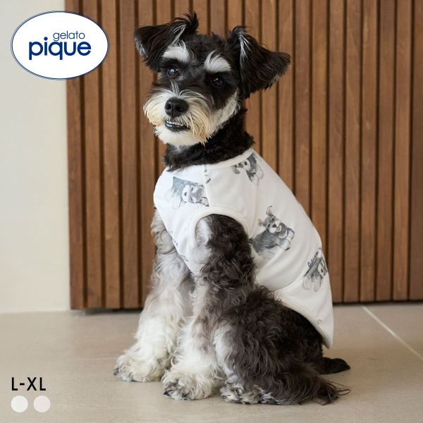 ジェラートピケ CAT&DOG シュナウザー柄カットソープルオーバー ジェラピケ gelato pique