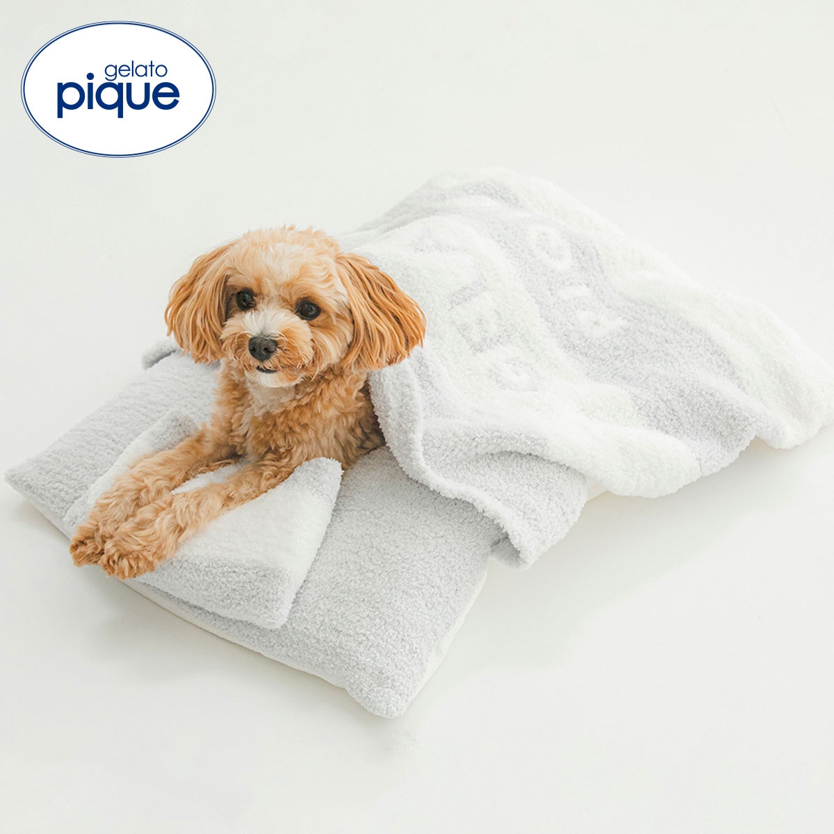 ジェラートピケ CAT&DOG ベビモコおふとんセット ジェラピケ gelato pique(BU-ブルー-Free)
