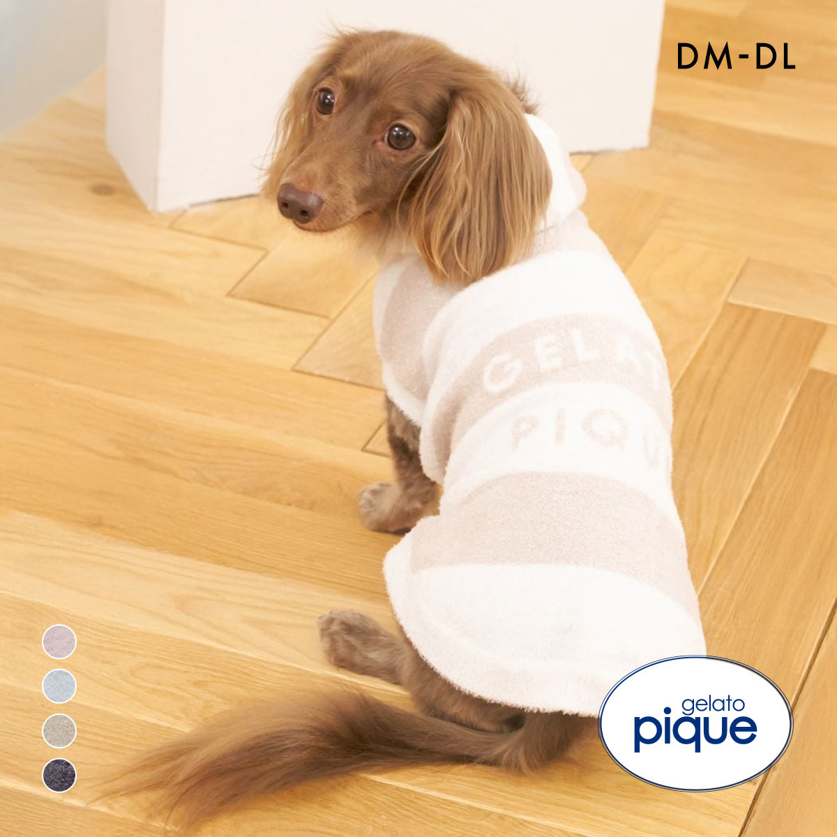 ジェラートピケ CAT&DOG スムーズィーダックスサイズ2ボーダー