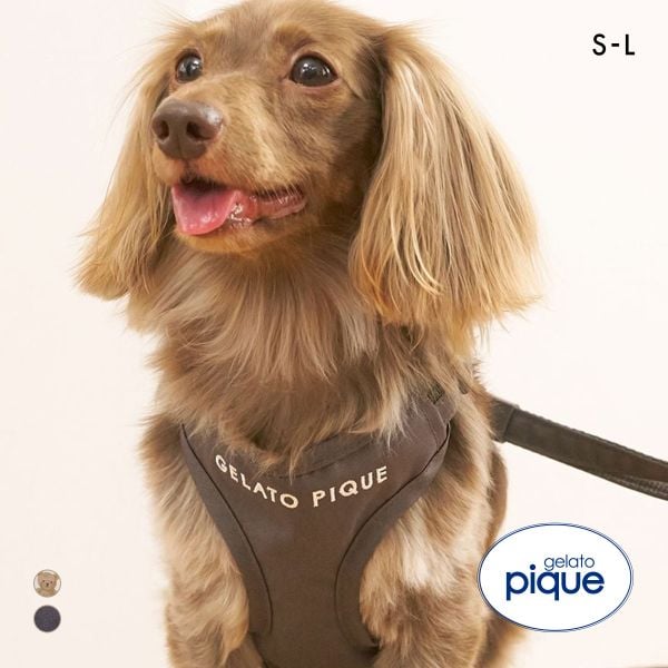 ジェラートピケ CAT&DOG 背中あきハーネス ジェラピケ gelato pique