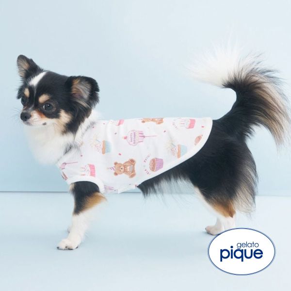 ジェラートピケ CAT&DOG Birthday バースデー柄プルオーバー gelato pique