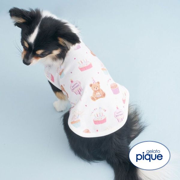 ジェラートピケ CAT&DOG Birthday バースデー柄プルオーバー gelato pique