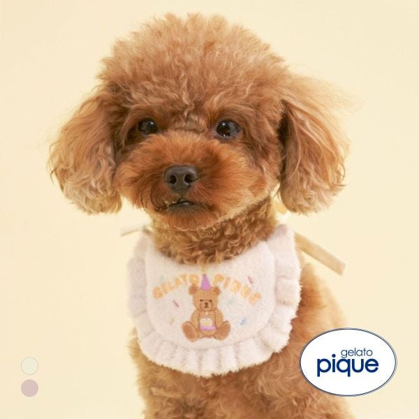 ジェラートピケ CAT&DOG Birthday スムーズィーバースデースタイ ジェラピケ gelato pique
