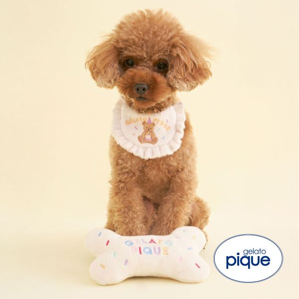 ジェラートピケ CAT&DOG Birthday ボーントイ gelato pique