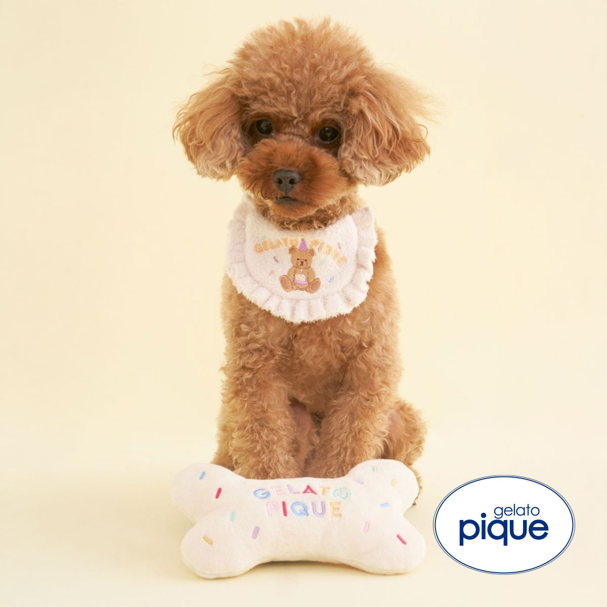 ジェラートピケ CAT&DOG Birthday ボーントイ gelato pique