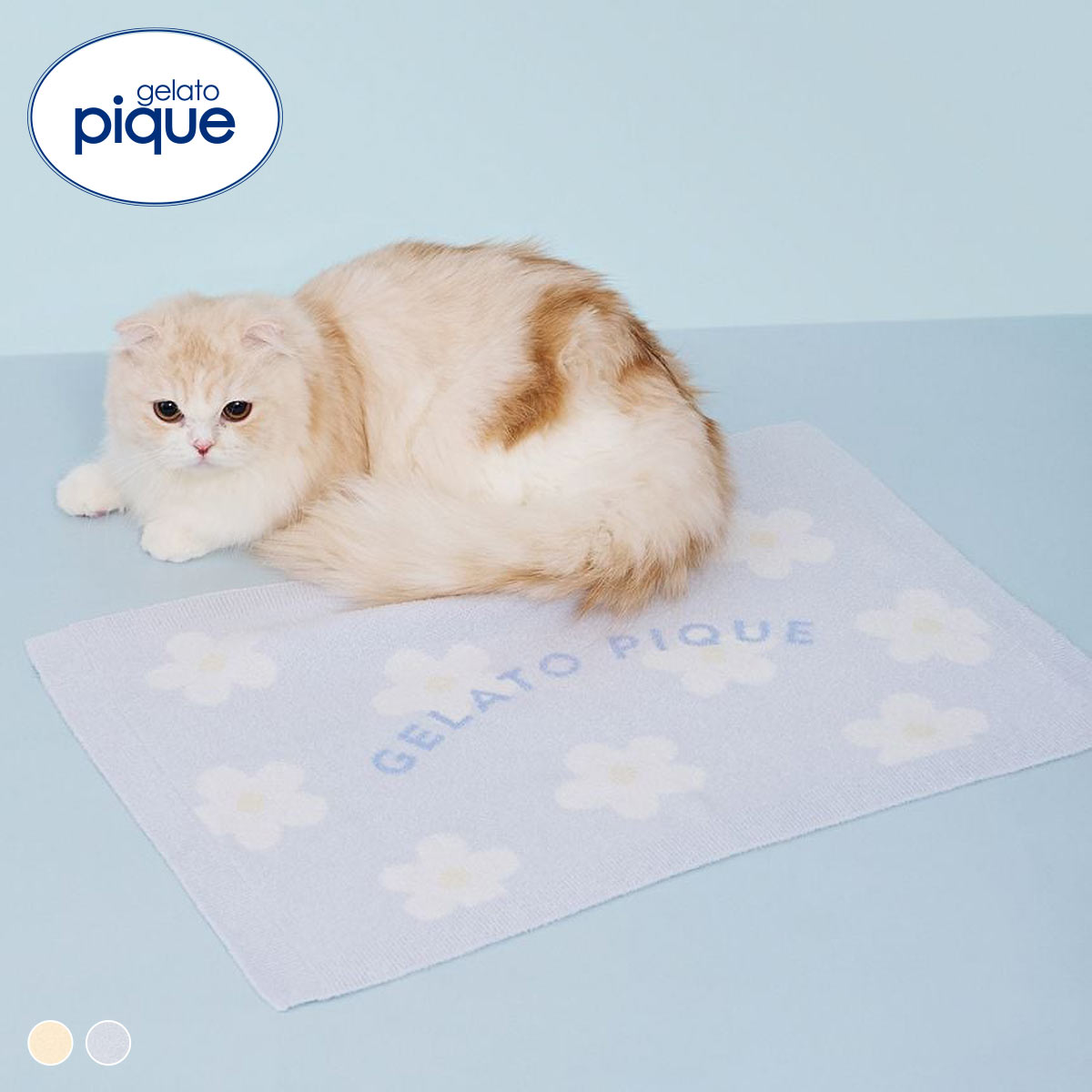 ジェラートピケ CAT&DOG スムーズィーフラワージャガードブランケット ジェラピケ gelato pique 猫の日(BU-ブルー-Free)