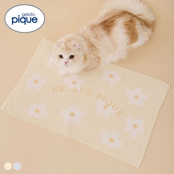 ジェラートピケ CAT&DOG スムーズィーフラワージャガードブランケット ジェラピケ gelato pique 猫の日