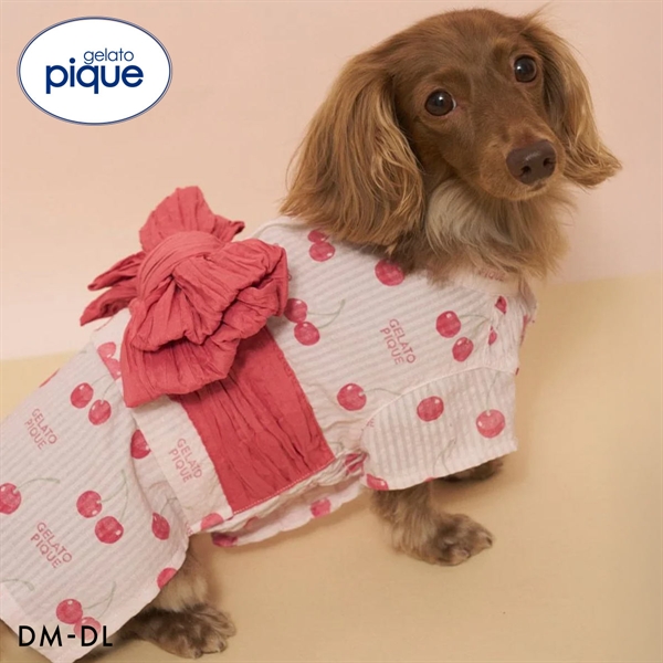 ジェラートピケ CAT&DOG ダックスフンドサイズ浴衣 ジェラピケ gelato pique