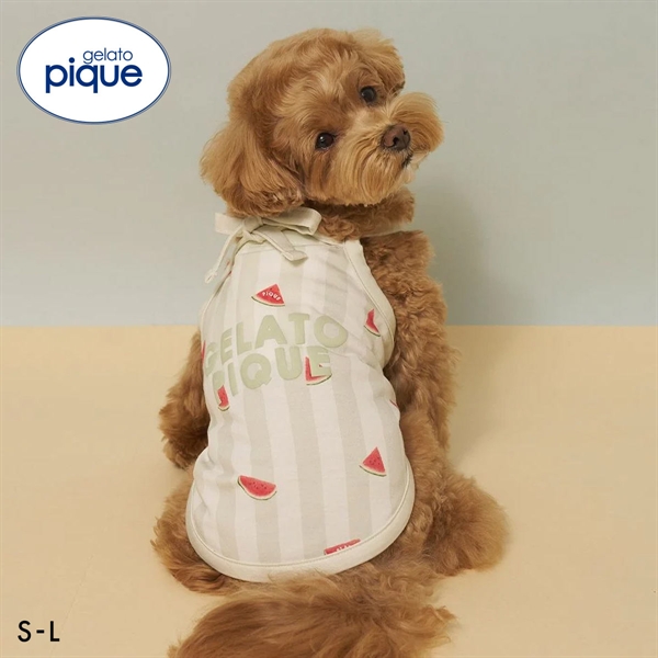 ジェラートピケ CAT&DOG 接触冷感 ストライプ柄Coolingプルオーバー ジェラピケ gelato pique