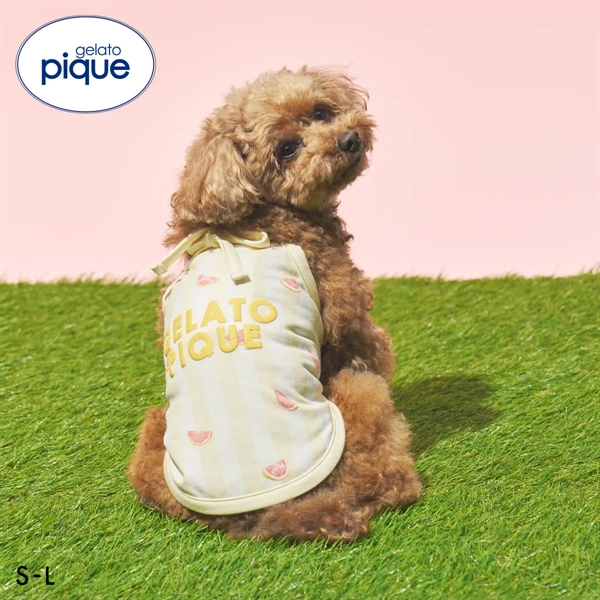 ジェラートピケ CAT&DOG 接触冷感 ストライプ柄Coolingプルオーバー ジェラピケ gelato pique