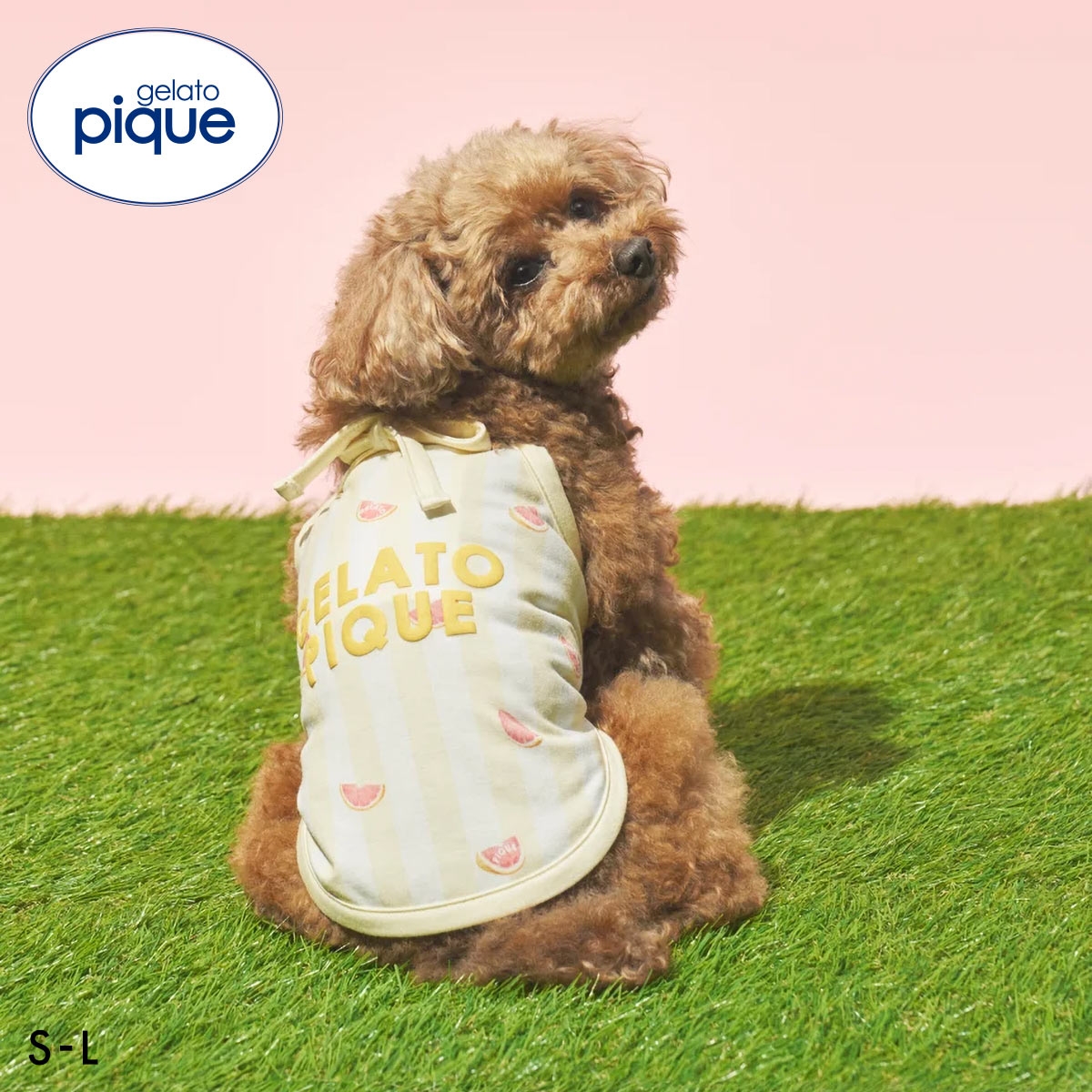 ジェラートピケ CAT&DOG 接触冷感 ストライプ柄Coolingプルオーバー ジェラピケ gelato pique(YE-イエロー-S)