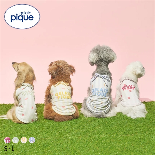 ジェラートピケ CAT&DOG 接触冷感 ストライプ柄Coolingプルオーバー ジェラピケ gelato pique