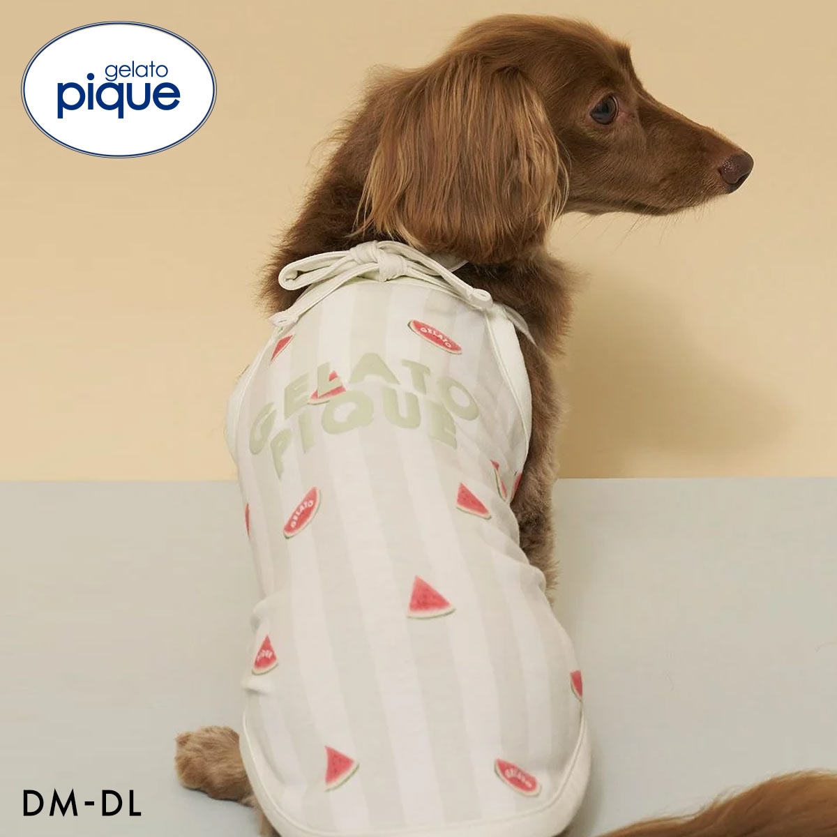 ジェラートピケ CAT&DOG 接触冷感 ダックスフンドサイズCoolingプルオーバー ジェラピケ gelato pique(GR-グリーン-DM)