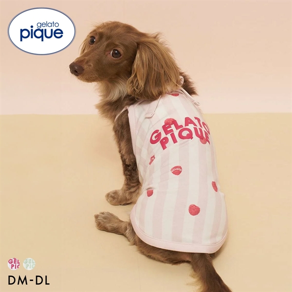 ジェラートピケ CAT&DOG 接触冷感 ダックスフンドサイズCoolingプルオーバー ジェラピケ gelato pique