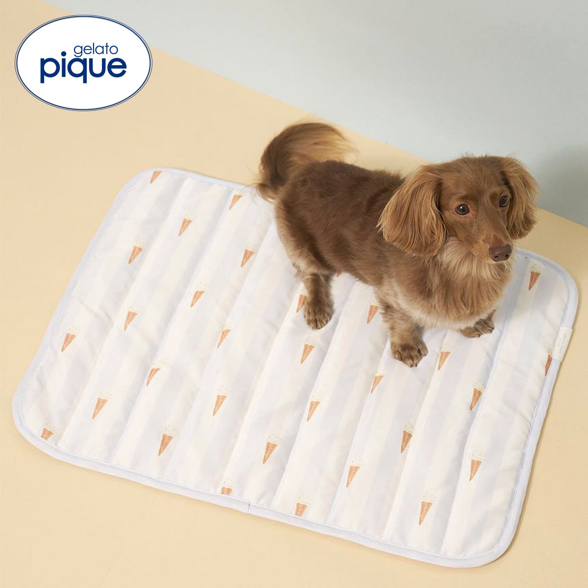 ジェラートピケ CAT&DOG 接触冷感 Coolingマット ジェラピケ gelato pique(BU-ブルー-Free)
