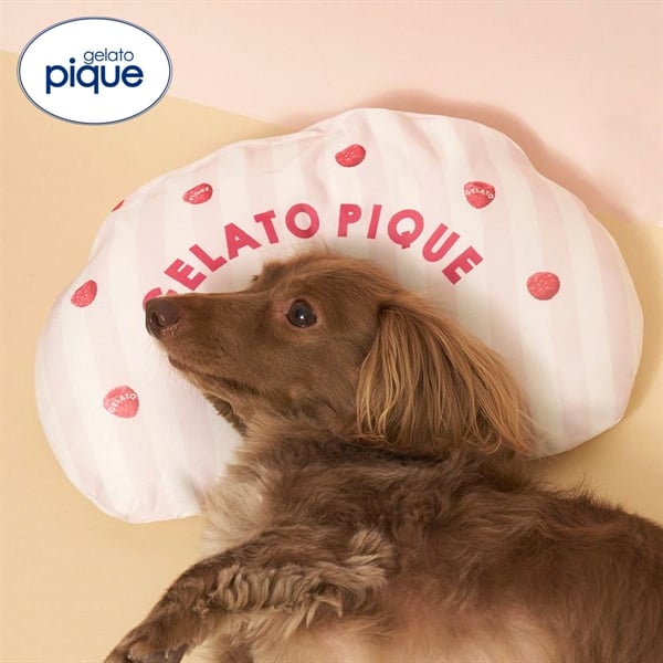 ジェラートピケ CAT&DOG 接触冷感 Coolingピロー ジェラピケ gelato pique
