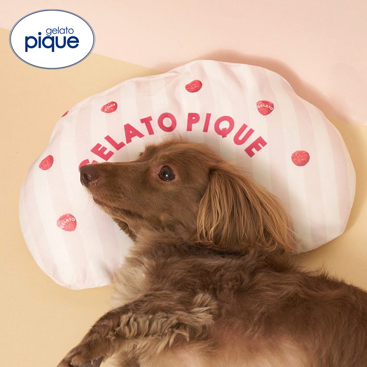 ジェラートピケ CAT&DOG 接触冷感 Coolingピロー ジェラピケ gelato pique(PI-ピンク-Free)