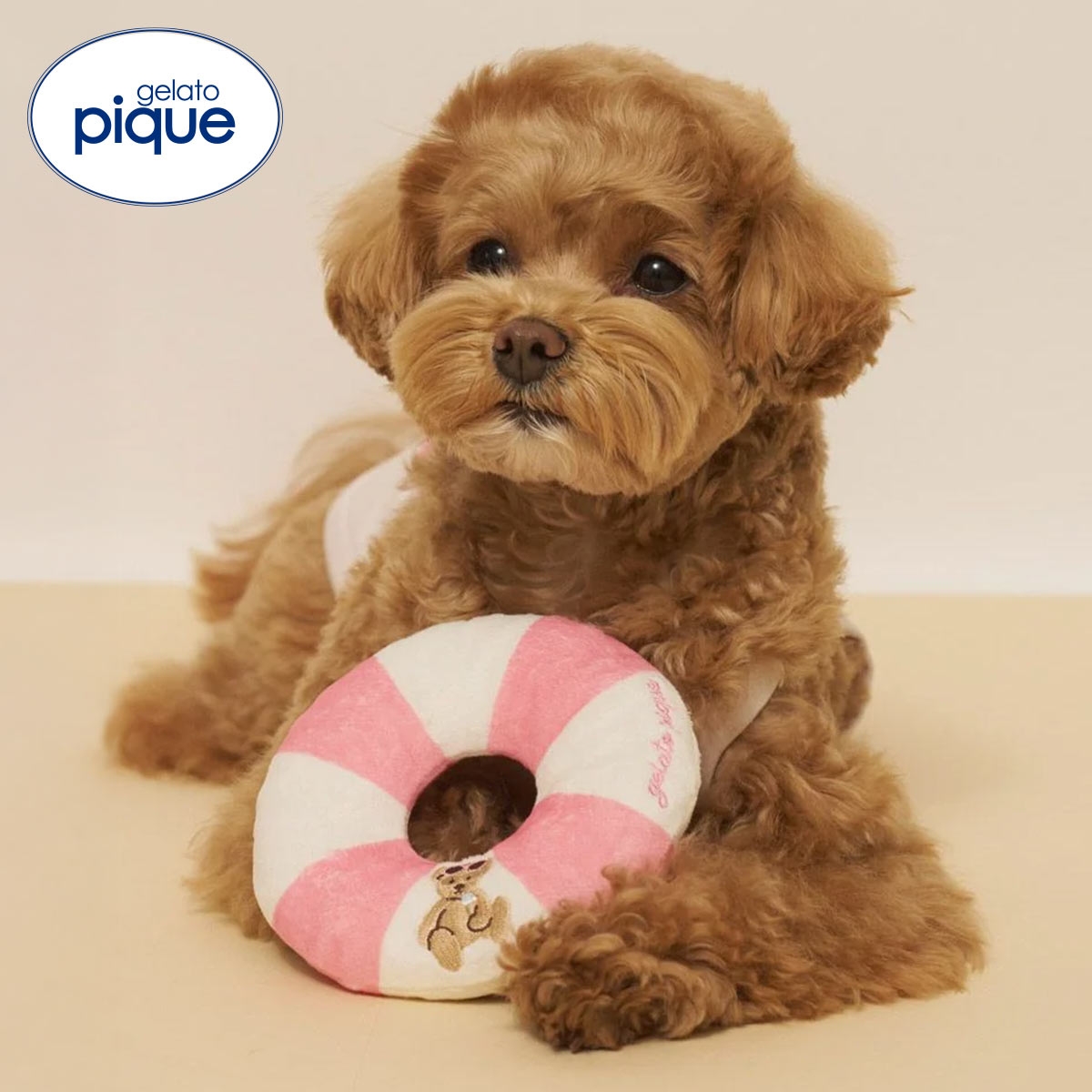 ジェラートピケ CAT&DOG サマーベアトイ ジェラピケ gelato pique(PI-ピンク-Free)