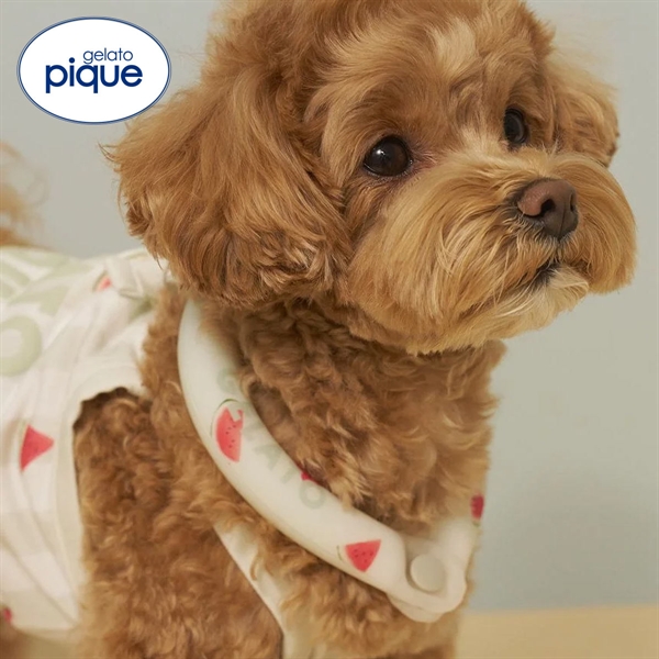 ジェラートピケ CAT&DOG サマーモチーフ柄Coolingネックリング ジェラピケ gelato pique