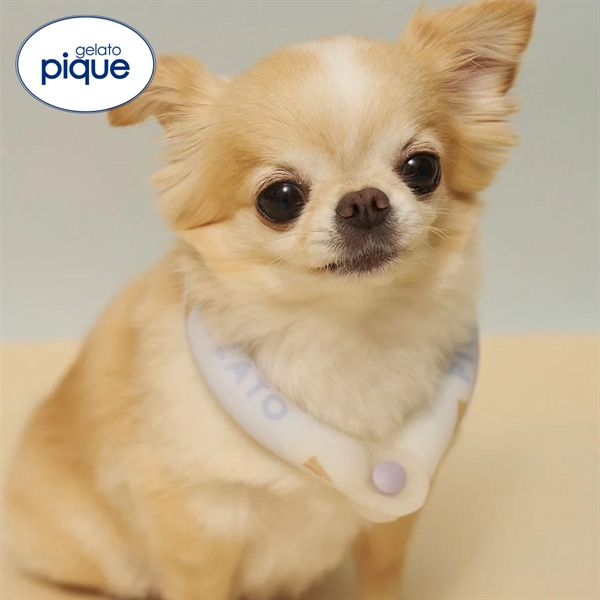 ジェラートピケ CAT&DOG サマーモチーフ柄Coolingネックリング ジェラピケ gelato pique