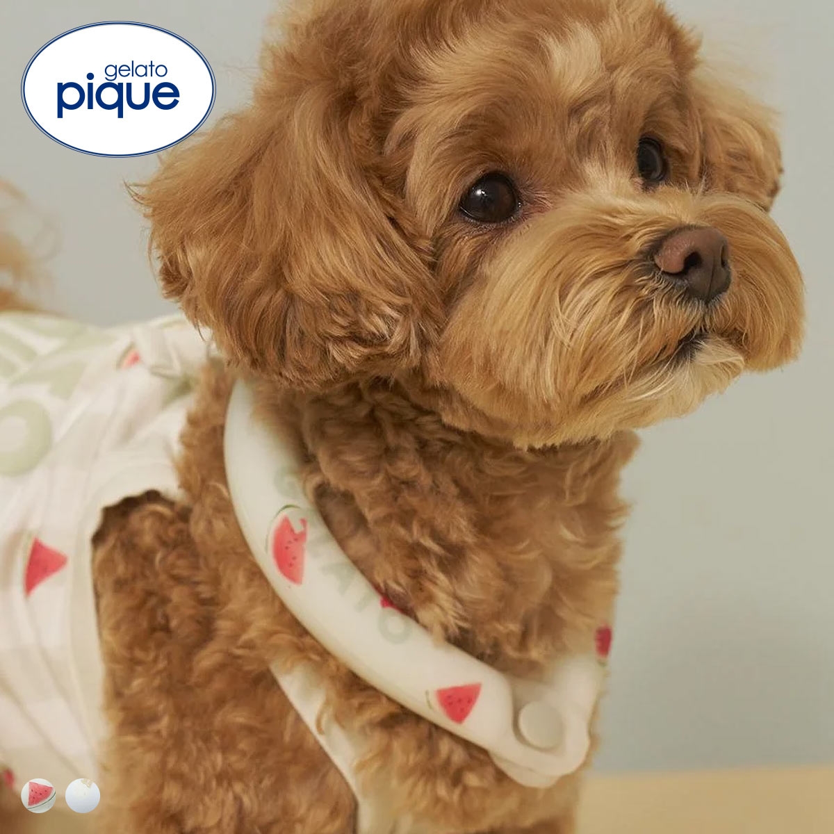 ジェラートピケ CAT&DOG サマーモチーフ柄Coolingネックリング ジェラピケ gelato pique