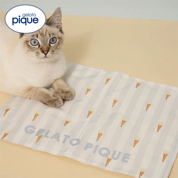 ジェラートピケ CAT&DOG サマーモチーフ柄Coolingジェルマット ジェラピケ gelato pique