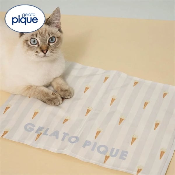 ジェラートピケ CAT&DOG サマーモチーフ柄Coolingジェルマット ジェラピケ gelato pique