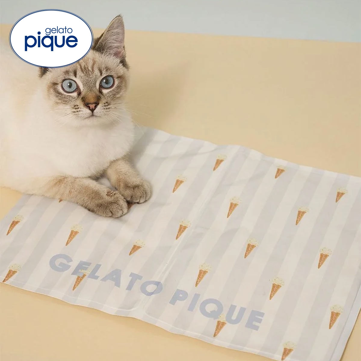 ジェラートピケ CAT&DOG サマーモチーフ柄Coolingジェルマット ジェラピケ gelato pique(BU-ブルー-Free)