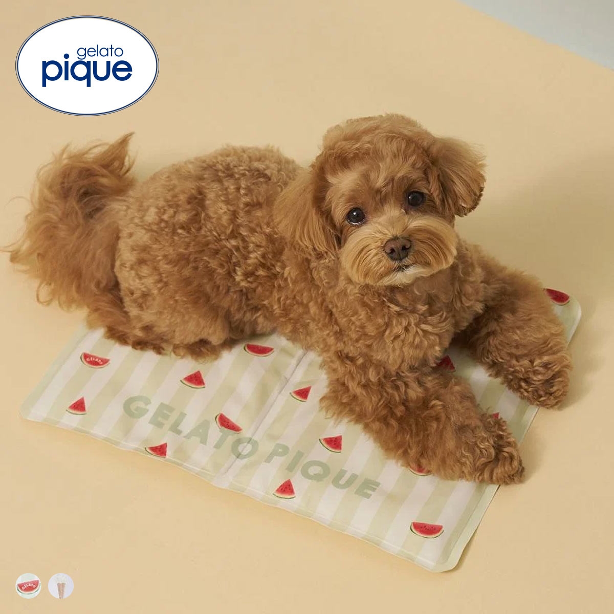 ジェラートピケ CAT&DOG サマーモチーフ柄Coolingジェルマット ジェラピケ gelato pique