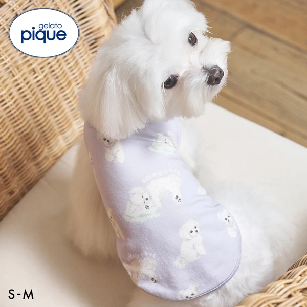 ジェラートピケ CAT&DOG マルチーズ柄カットソープルオーバー ジェラピケ gelato pique