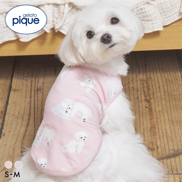 ジェラートピケ CAT&DOG マルチーズ柄カットソープルオーバー ジェラピケ gelato pique
