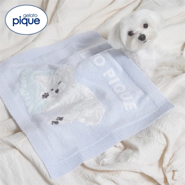 ジェラートピケ CAT&DOG マルチーズ柄ブランケット ジェラピケ gelato pique