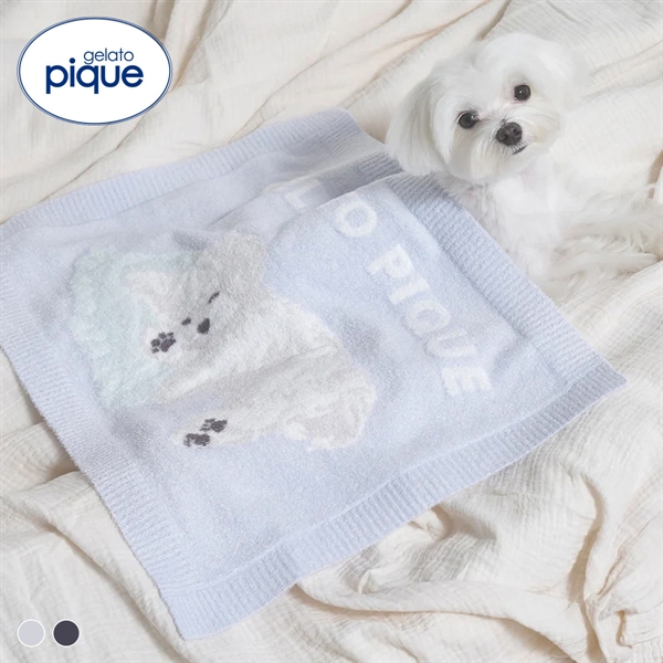 ジェラートピケ CAT&DOG マルチーズ柄ブランケット ジェラピケ gelato pique