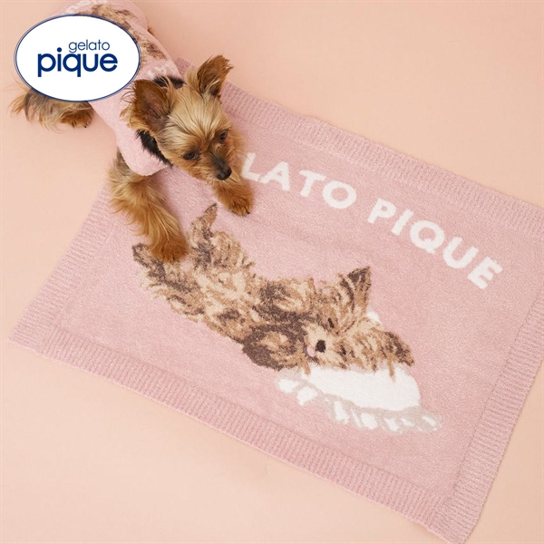 ジェラートピケ CAT&DOG ヨークシャーテリア柄ブランケット ジェラピケ gelato pique