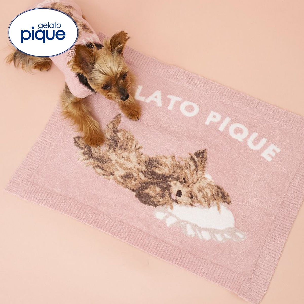 ジェラートピケ CAT&DOG ヨークシャーテリア柄ブランケット ジェラピケ gelato pique(PI-ピンク-Free)