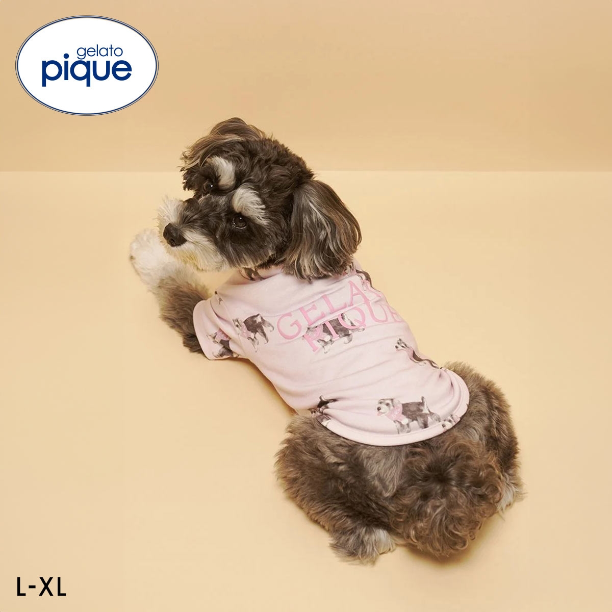ジェラートピケ CAT&DOG シュナウザー柄カットソープルオーバー ジェラピケ gelato pique(PI-ピンク-L)