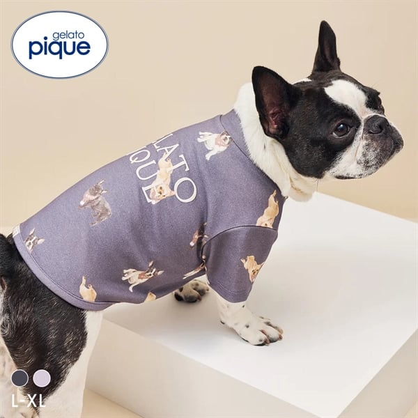 ジェラートピケ CAT&DOG フレンチブルドッグ柄カットソープルオーバー ジェラピケ gelato pique